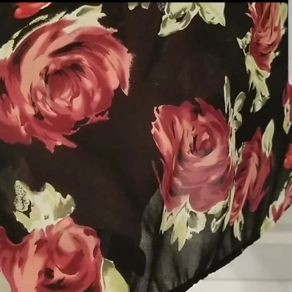 Beautiful Impressions Sheer Long Sleeve Blouse - Picture 6 of 7